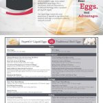 Egg Shell Egg Conversion
