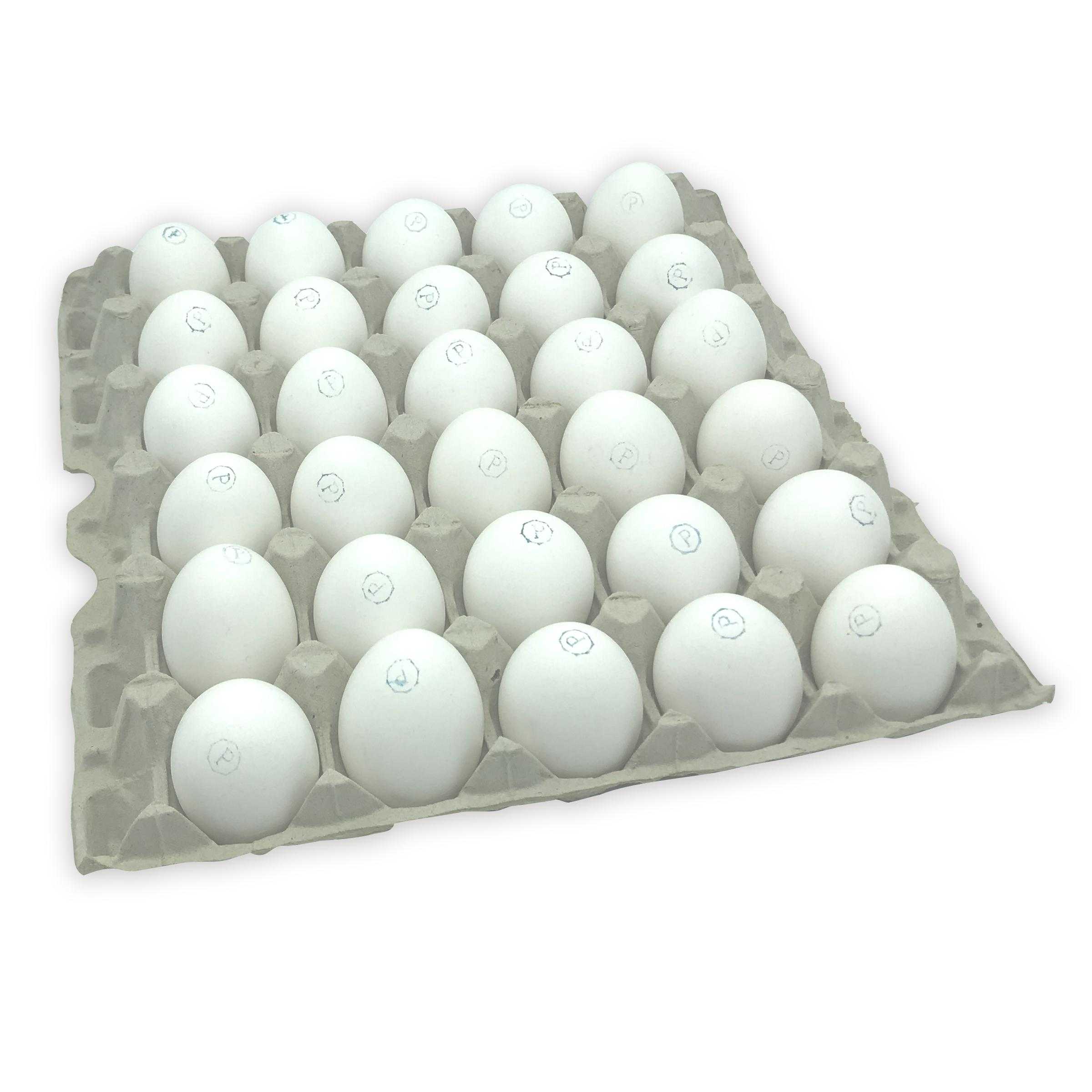 Abbotsford Farms® American Humane Certified Cage Free Large Pasteurized Shell Eggs, Graded, Loose Pack, 1/15 Dozen Case